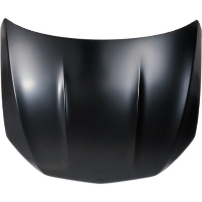 Picture of Hood