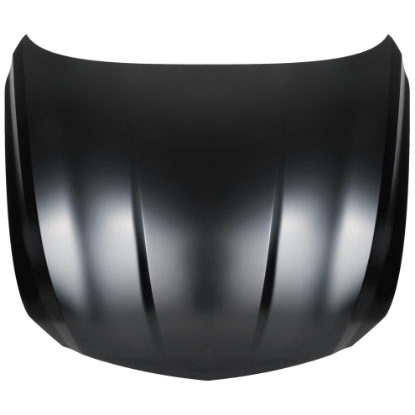 Picture of Hood