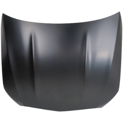 Picture of Hood