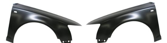 Picture of Fender