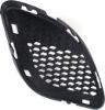 Picture of Bumper Grille