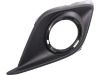 Picture of Fog Light Trim
