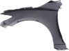 Picture of Fender