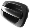 Picture of Exterior Door Handle