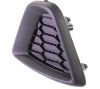 Picture of Fog Light Cover