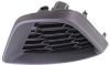 Picture of Fog Light Cover