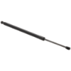 Picture of Lift Support