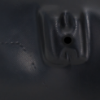 Picture of Fender Liner