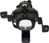 Picture of Fog Light